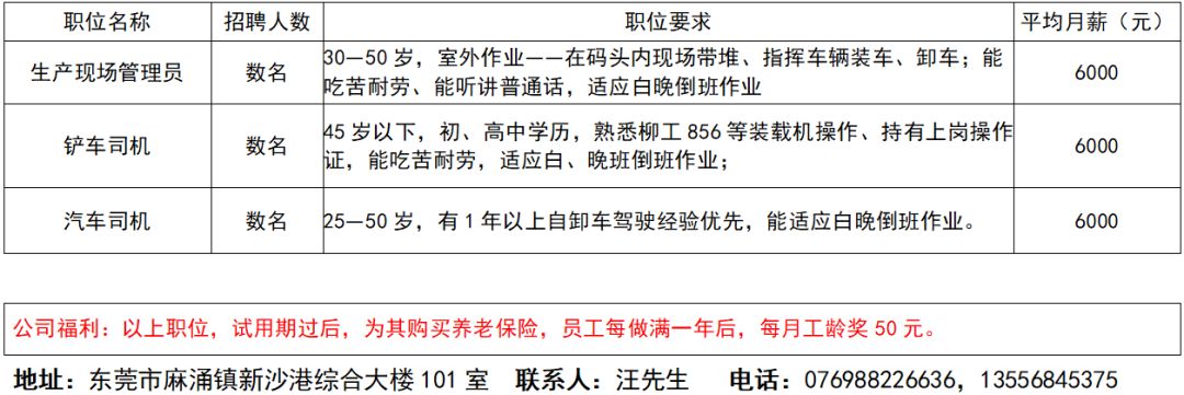 2024年12月20日 第49页