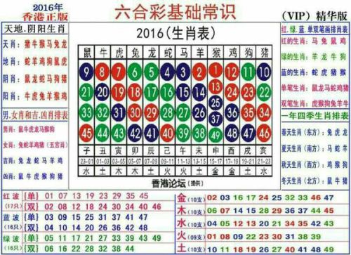 2024十二生肖49个码,揭秘十二生肖与数字密码，探寻2024年十二生肖的49个码之谜