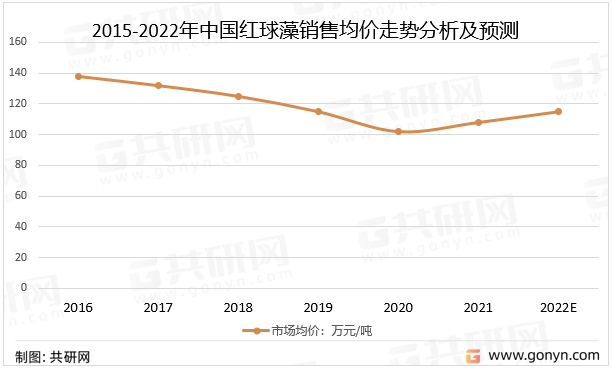 红姐论坛资料大全,红姐论坛资料大全，深度解析与探索