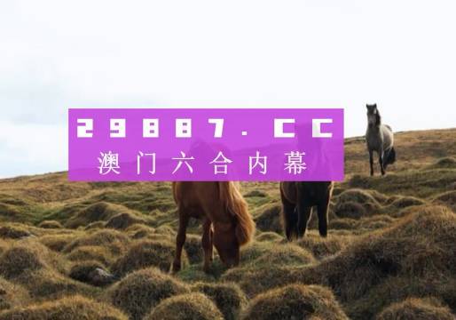 澳门4949开奖现场直播 开,澳门4949开奖现场直播，揭秘背后的风险与挑战