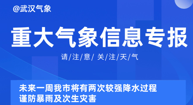 2024新奥精准正版资料,探索未来，解析2024新奥精准正版资料的重要性与价值