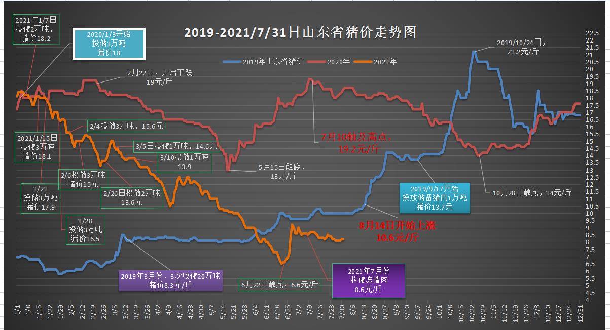 2024年澳门特马今晚开奖,澳门特马今晚开奖，探索未来的幸运之门