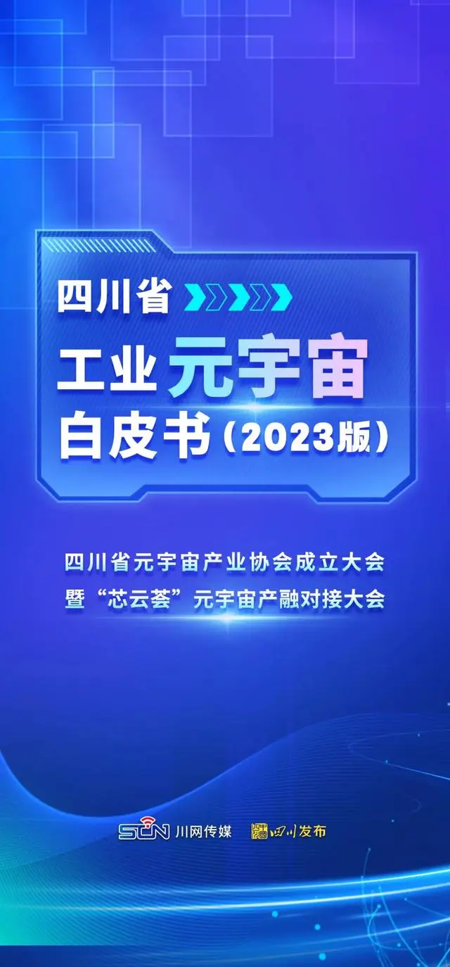 2024香港免费精准资料,揭秘香港未来蓝图，2024香港免费精准资料深度解析