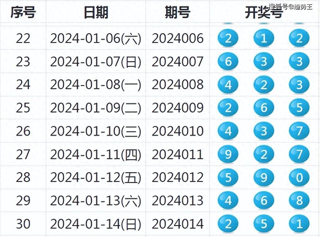 2024新奥历史开奖记录28期,揭秘新奥历史开奖记录，第28期的精彩瞬间与未来展望（2024年）