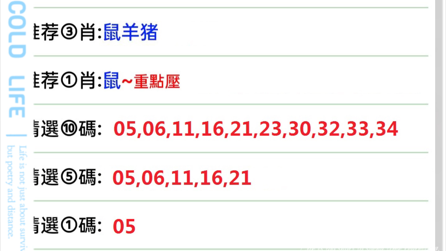 新澳门今晚精准一肖,新澳门今晚精准一肖——探索生肖预测的魅力与挑战