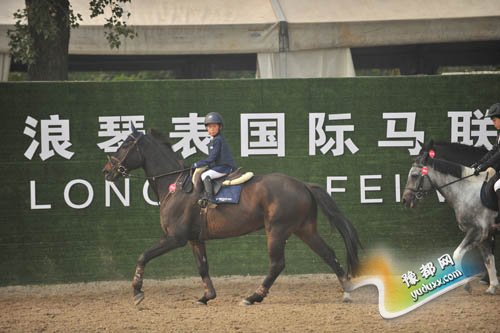 今晚澳门马出什么特马,今晚澳门马会出什么样的特马？探索马会神秘面纱下的秘密